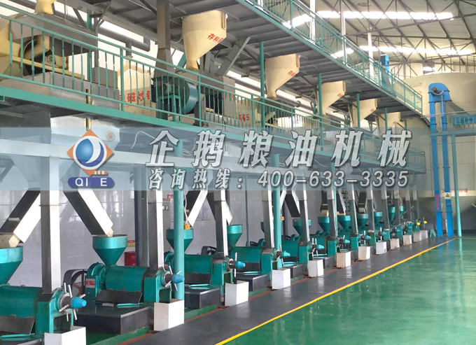 如何降低壓榨花生油中黃曲霉毒素含量？企鵝糧油機(jī)械為您提供可靠方法(圖2)