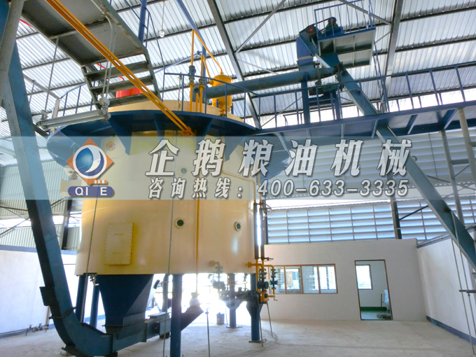 如何投資建設棕櫚油加工廠？企鵝糧油機械在線為您答疑解惑(圖5)