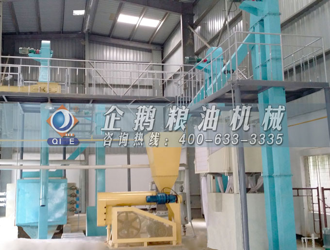 如何投資建設棕櫚油加工廠？企鵝糧油機械在線為您答疑解惑(圖4)