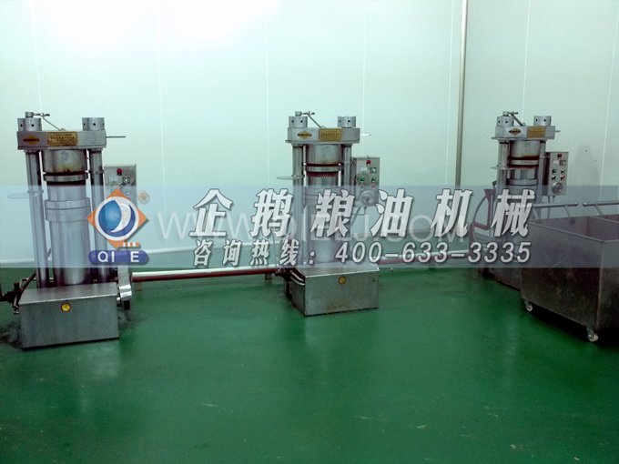 芝麻油壓榨處理設(shè)備，企鵝牌液壓榨油機(jī)勇于創(chuàng)新生產(chǎn)效率高(圖4)