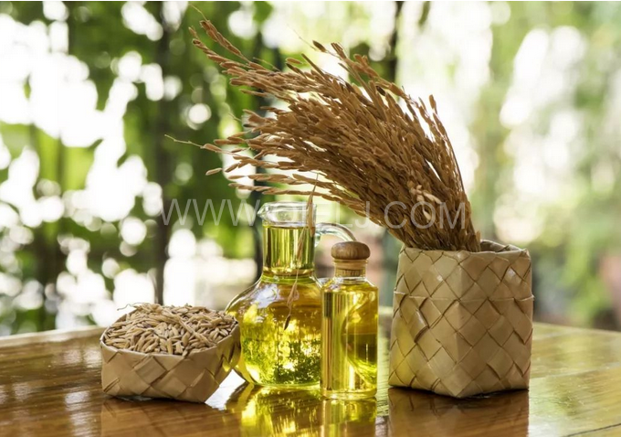 米糠油精煉設(shè)備，企鵝機械不斷創(chuàng)新提升工藝效果(圖1)