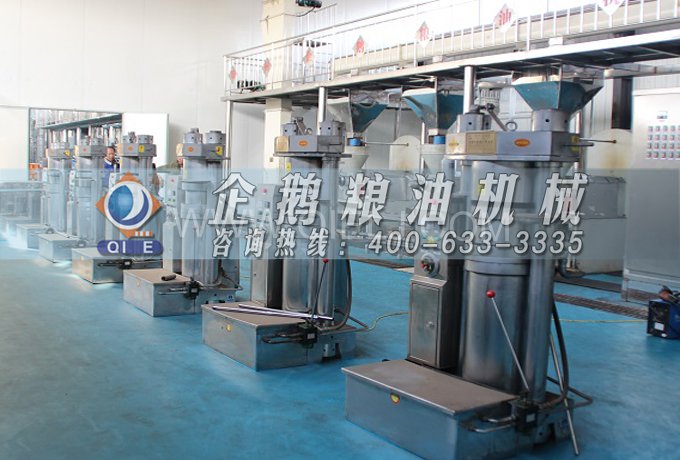 芝麻油提取加工，企鵝糧油機械生產(chǎn)色香味俱佳的油脂(圖3)
